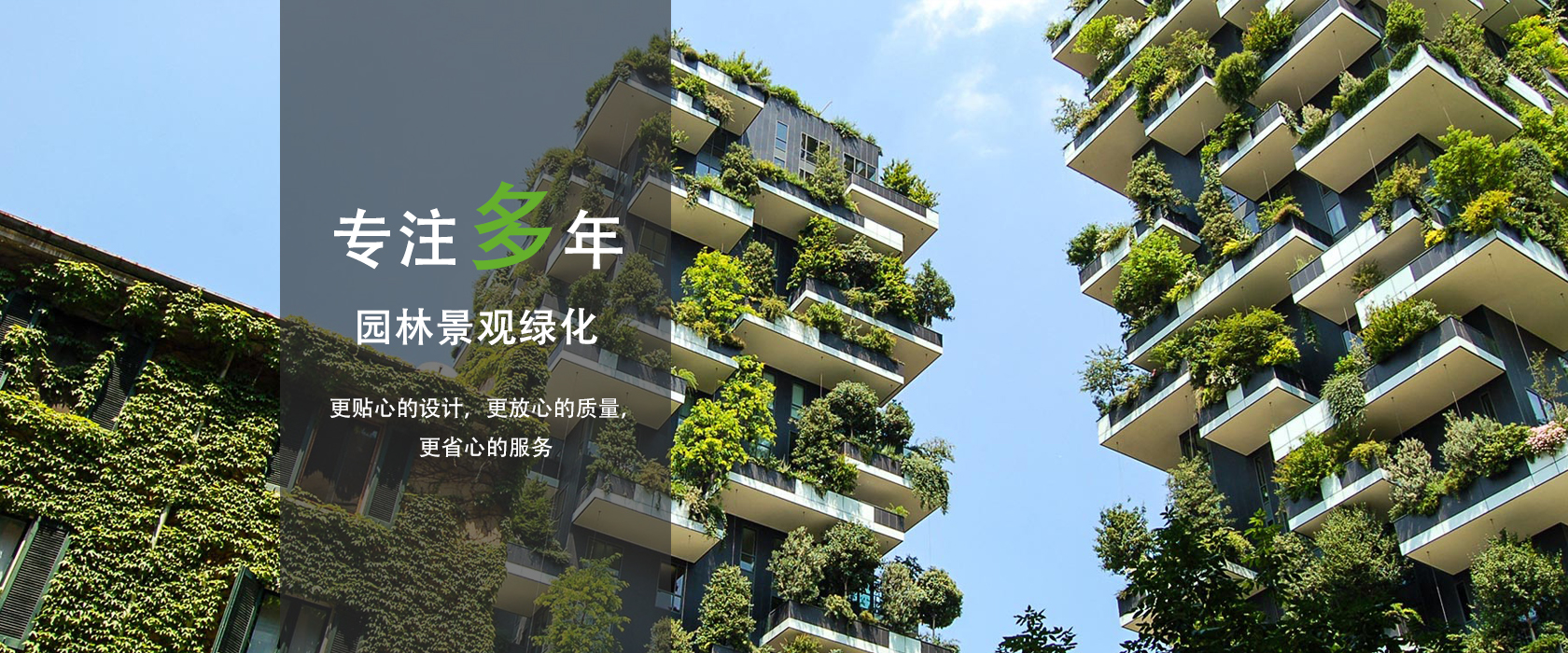 头号玩家官网登录入口
