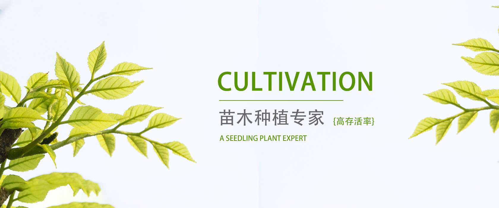 头号玩家官方下载